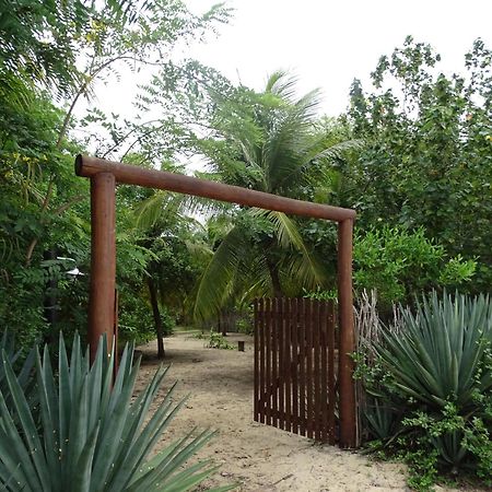 Отель Jungle House Сан-Мигел-ду-Гостозу Экстерьер фото
