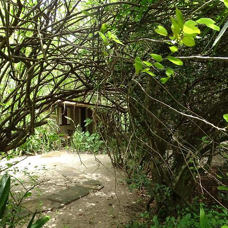 Отель Jungle House Сан-Мигел-ду-Гостозу Экстерьер фото
