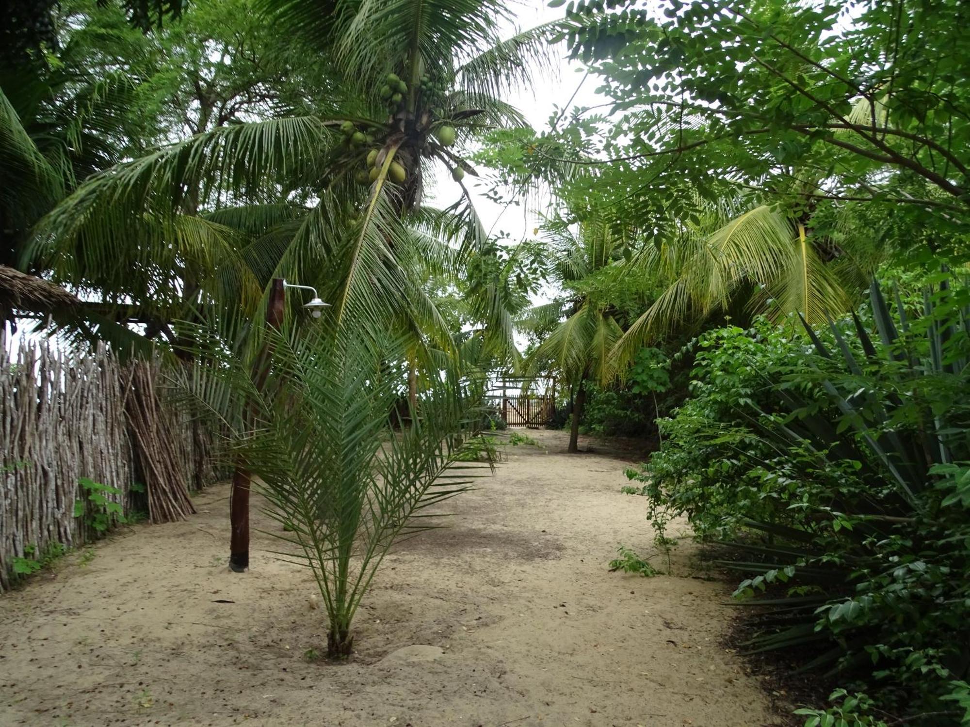 Отель Jungle House Сан-Мигел-ду-Гостозу Экстерьер фото