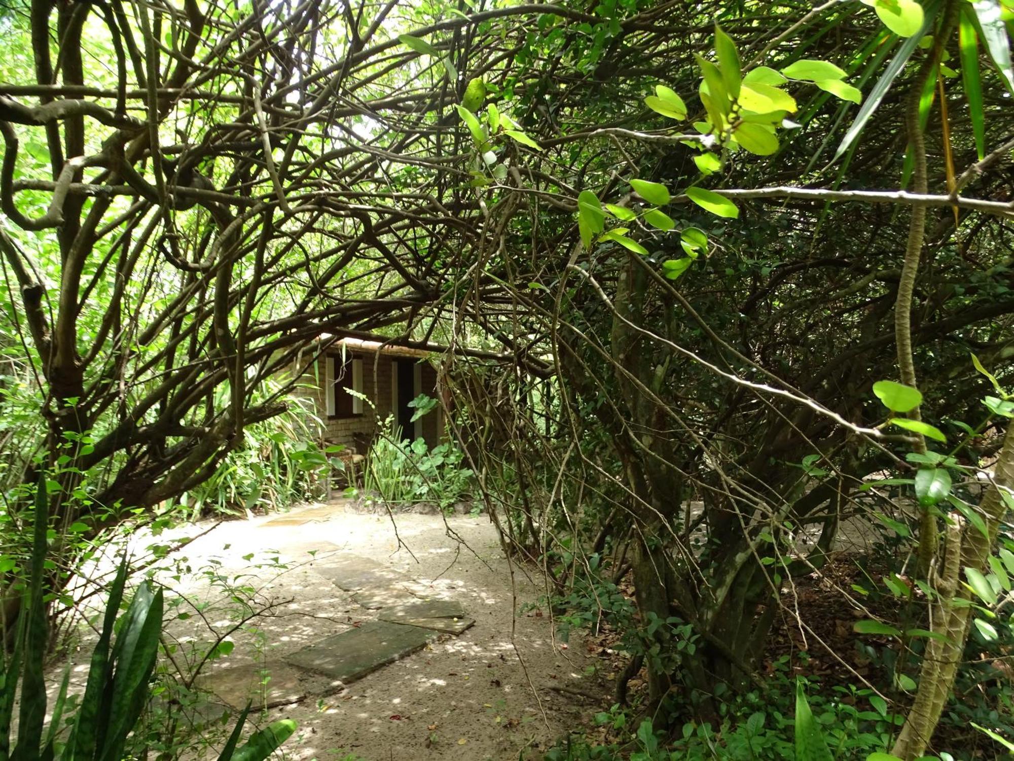 Отель Jungle House Сан-Мигел-ду-Гостозу Экстерьер фото