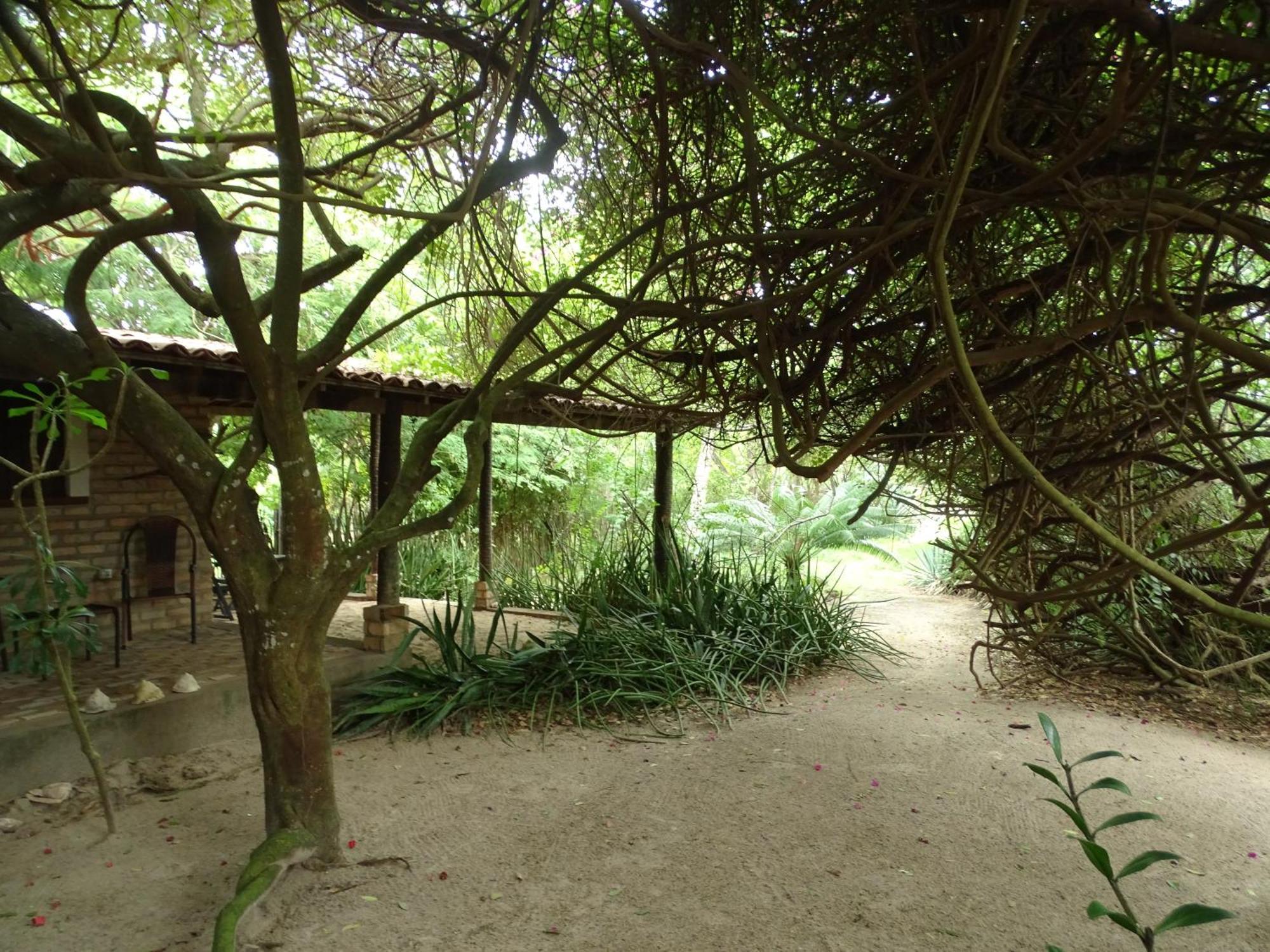 Отель Jungle House Сан-Мигел-ду-Гостозу Экстерьер фото