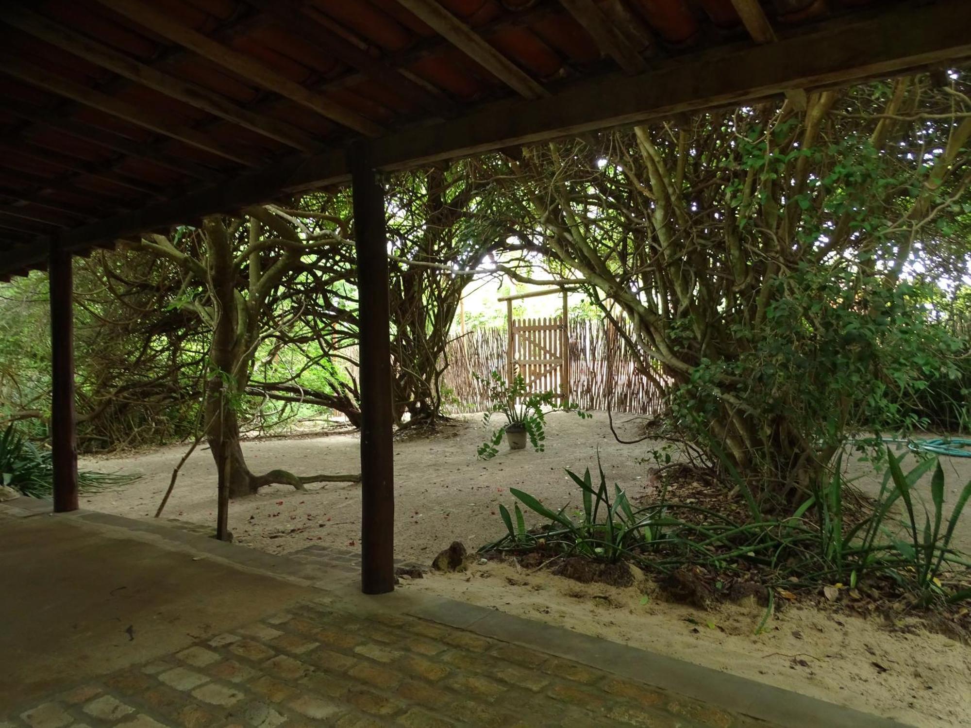 Отель Jungle House Сан-Мигел-ду-Гостозу Экстерьер фото
